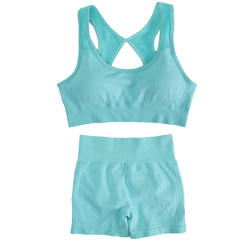 Yoga Fitness Set - Women's Sports Fitness Yoga Suit Set